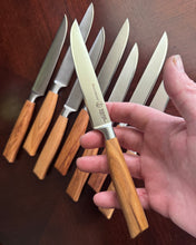 Messermeister Oliva stainless 8 piece steak knife set- 50% off